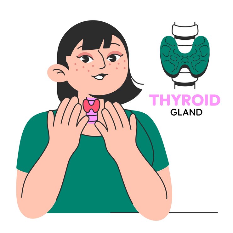 Vettore gratuito illustrazione della tiroide