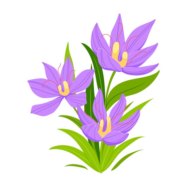 Illustrazione dello zafferano di design piatto disegnato a mano