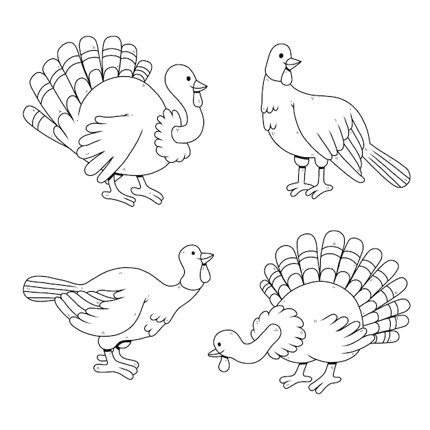 Illustrazione di contorno di tacchino disegnato a mano