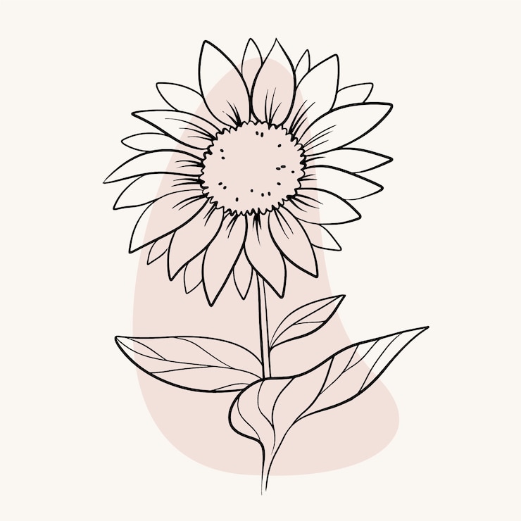 Vettore gratuito illustrazione di contorno fiore semplice piatto