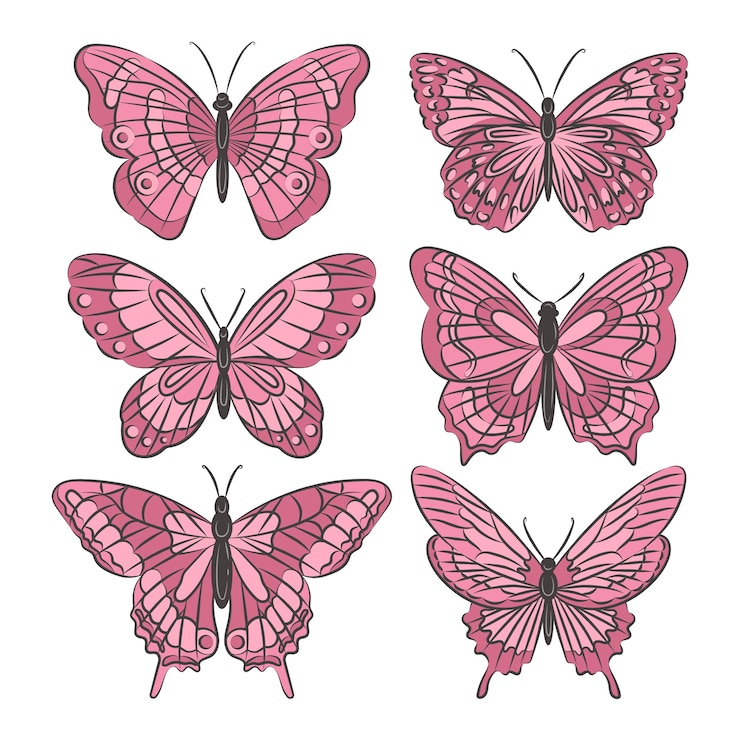 Vettore gratuito illustrazione di farfalla disegnata a mano