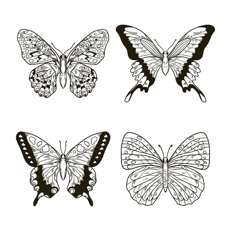 Vettore gratuito illustrazione di farfalla disegnata a mano