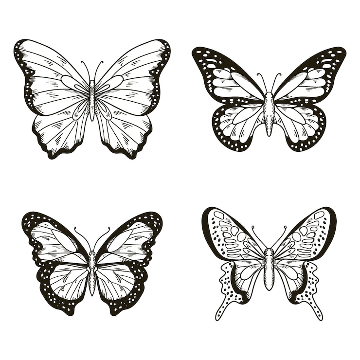 Vettore gratuito illustrazione di farfalla disegnata a mano