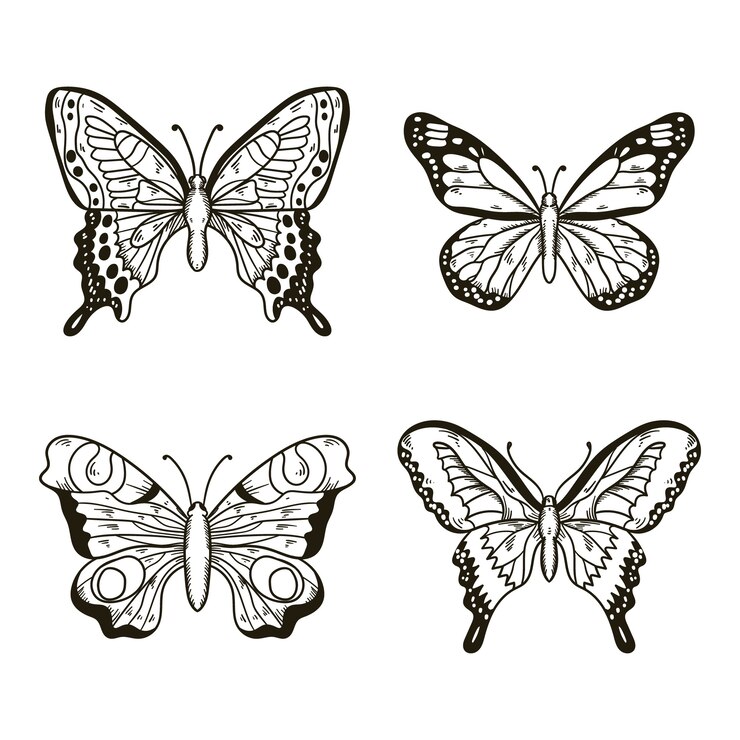 Vettore gratuito illustrazione di farfalla disegnata a mano
