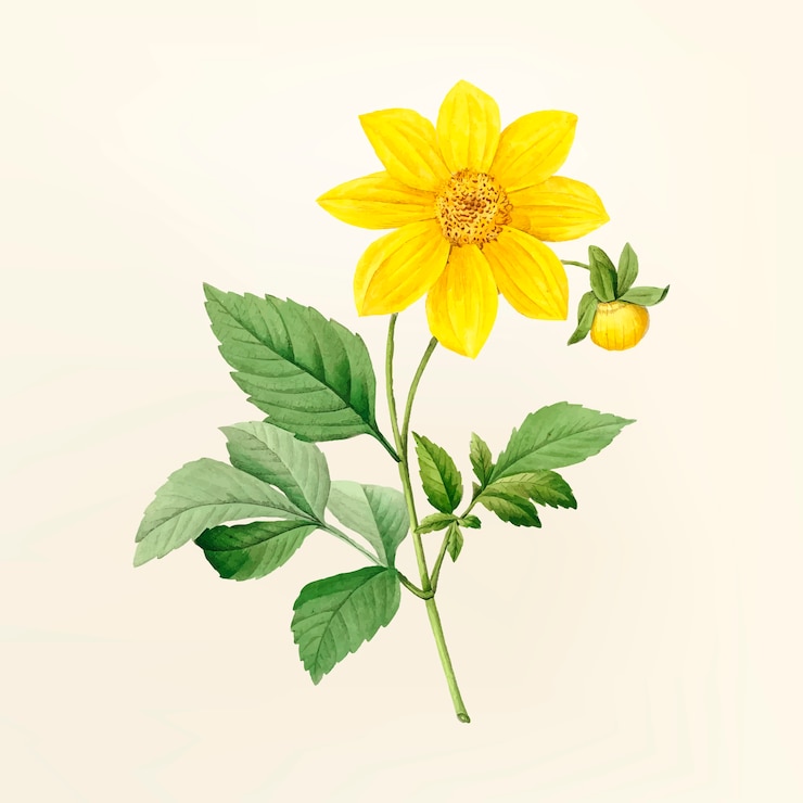 Vettore gratuito illustrazione di fiori d'epoca