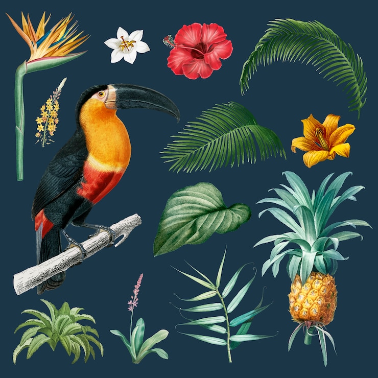 Vettore gratuito illustrazione di foglie di macaw