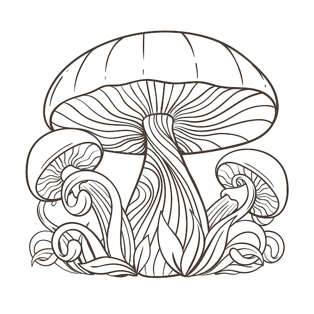 Illustrazione di funghi disegnata a mano