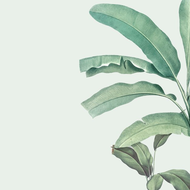 Illustrazione di mockup estate tropicale