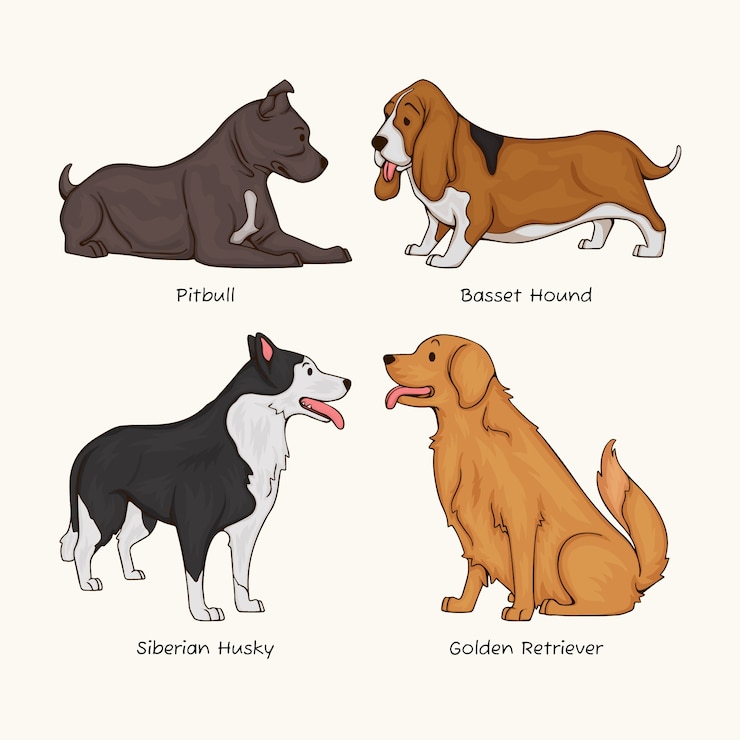 Vettore gratuito illustrazione di razze di cani disegnata a mano