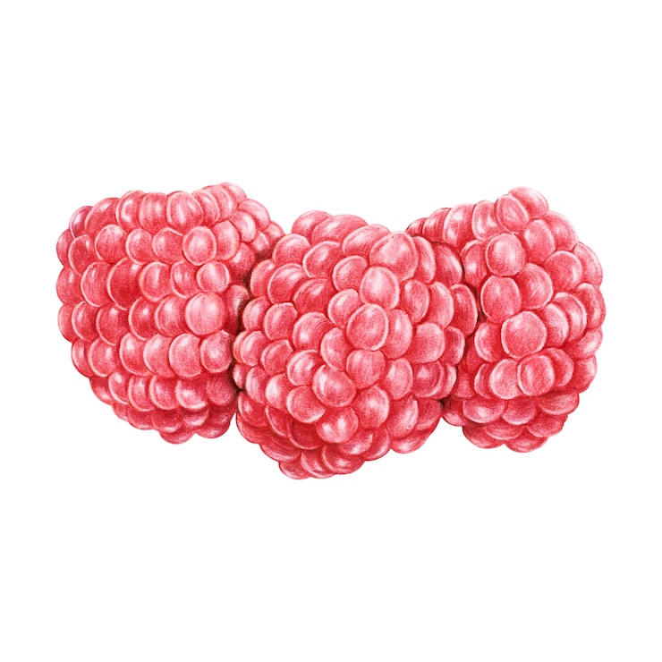 Vettore gratuito illustrazione di stile acquerello frutta