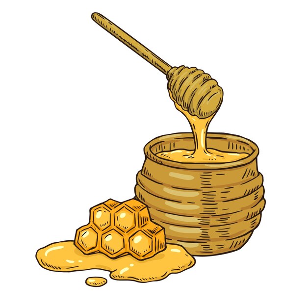 Illustrazione di un barattolo di miele disegnato a mano
