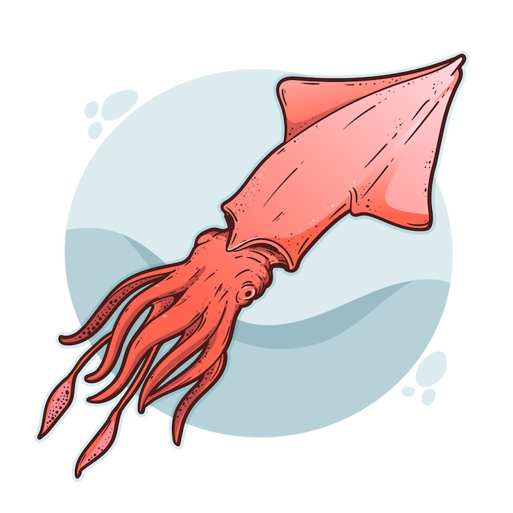 Vettore gratuito illustrazione disegnata a mano calamari