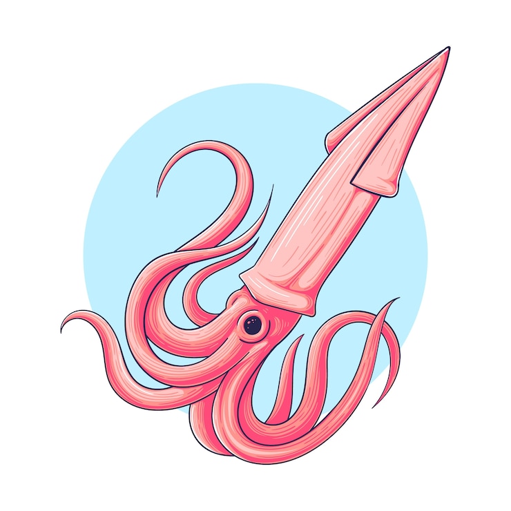 Vettore gratuito illustrazione disegnata a mano calamari