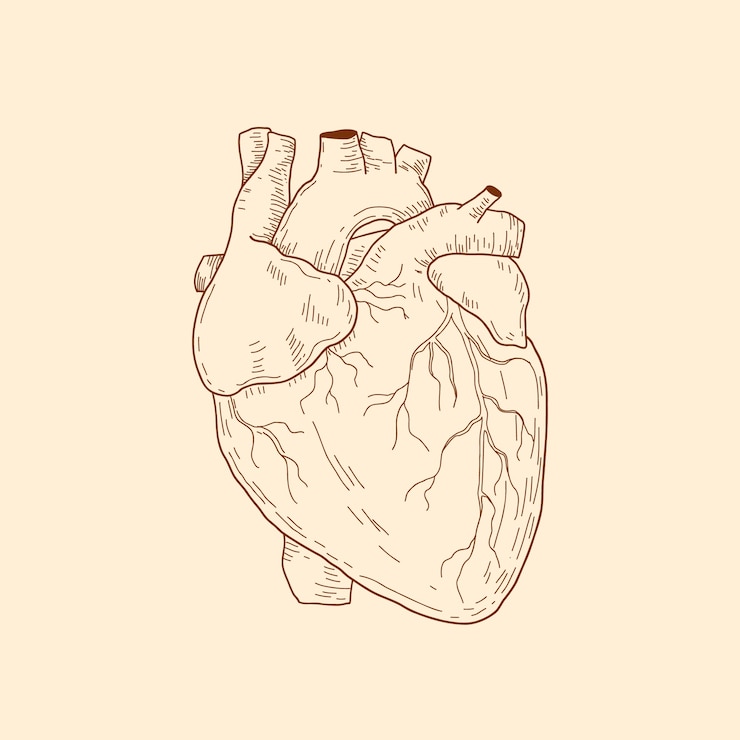 Vettore gratuito illustrazione disegnata a mano del disegno del cuore
