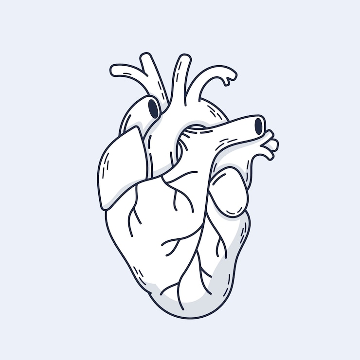Vettore gratuito illustrazione disegnata a mano del disegno del cuore