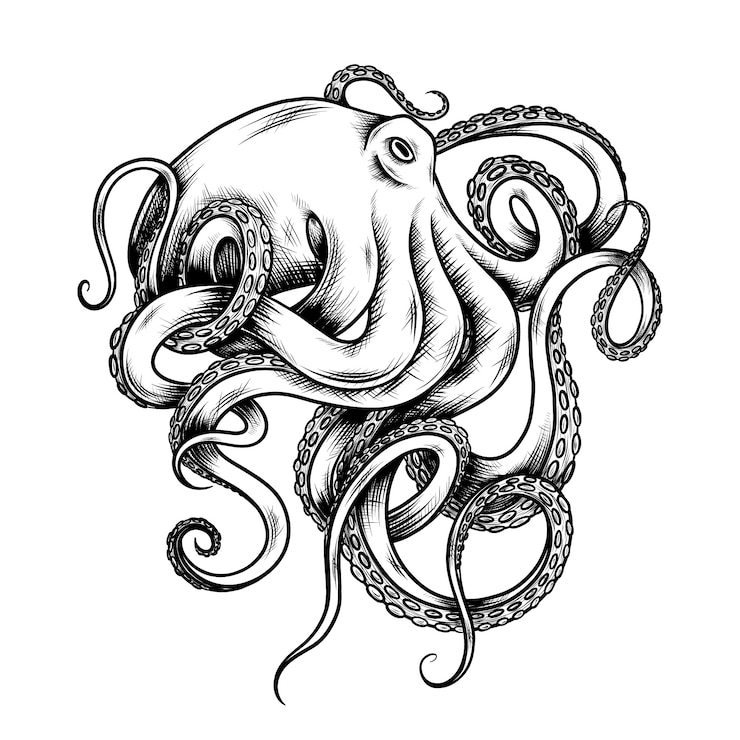 Vettore gratuito illustrazione disegnata a mano del disegno del polpo