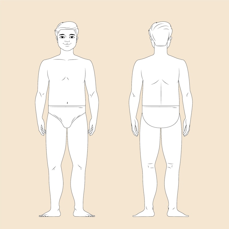 Vettore gratuito illustrazione disegnata a mano del profilo del corpo umano