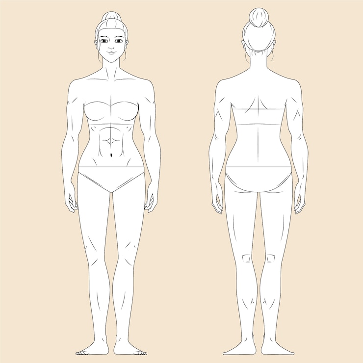 Vettore gratuito illustrazione disegnata a mano del profilo del corpo umano