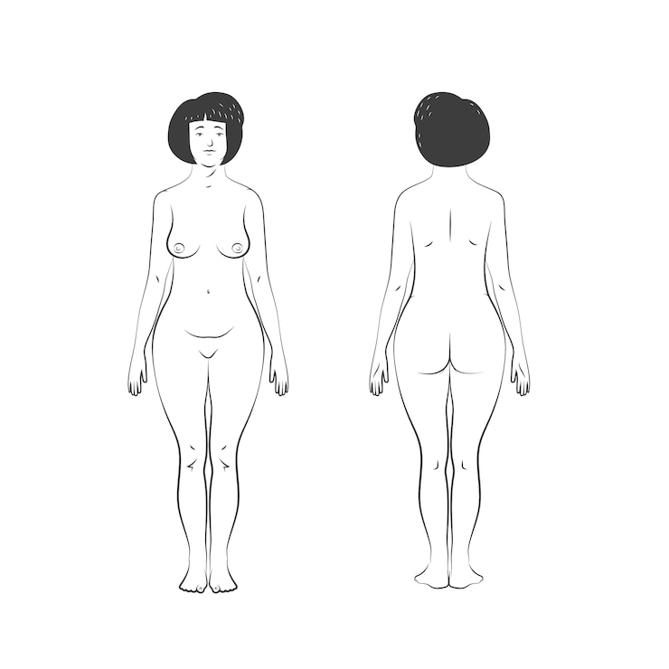 Vettore gratuito illustrazione disegnata a mano del profilo del corpo umano