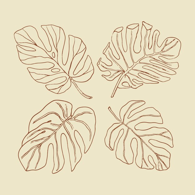 Illustrazione disegnata a mano del profilo della foglia di monstera