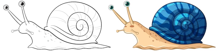 Vettore gratuito illustrazione e contorno colorato del vettore di lumache