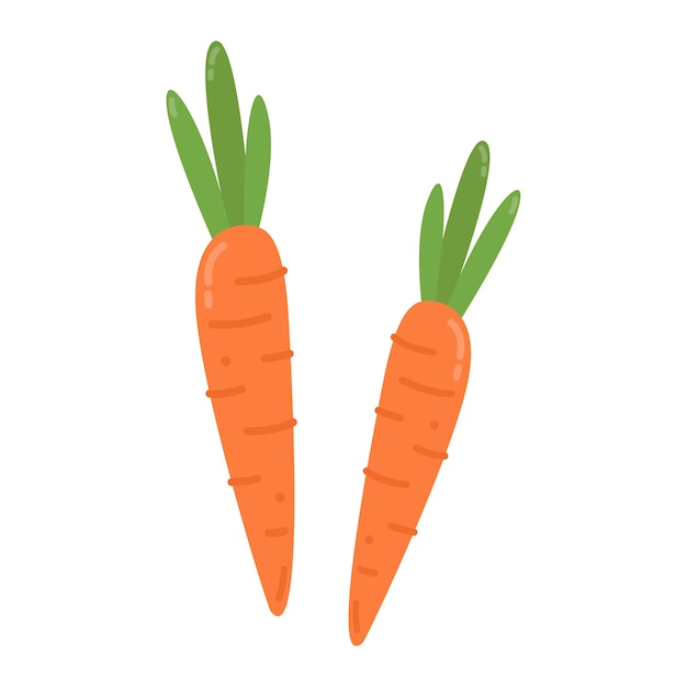 Illustrazione grafica di carote arancioni sane