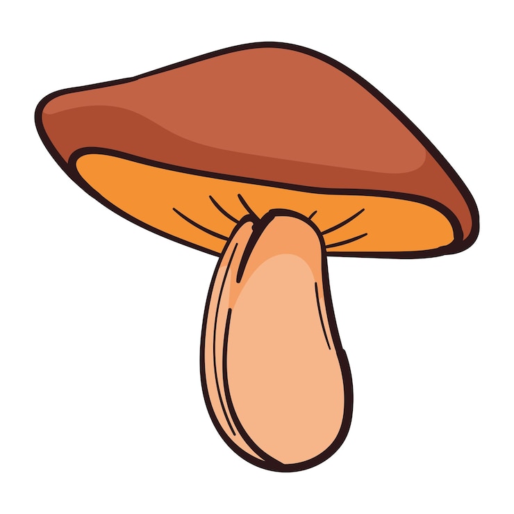 Vettore gratuito illustrazione isolata del fungo naturale d'autunno