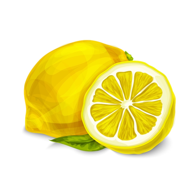 Vettore gratuito illustrazione isolata di limone