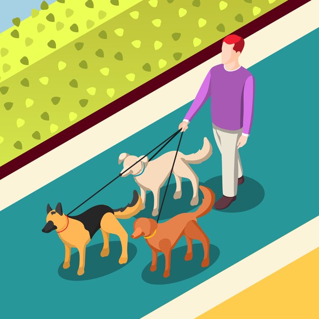 Illustrazione isometrica di camminata dei cani