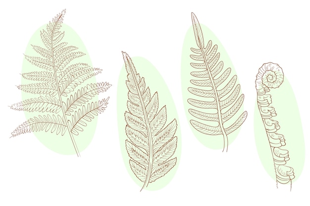 Illustrazione realistica delle foglie d'oro