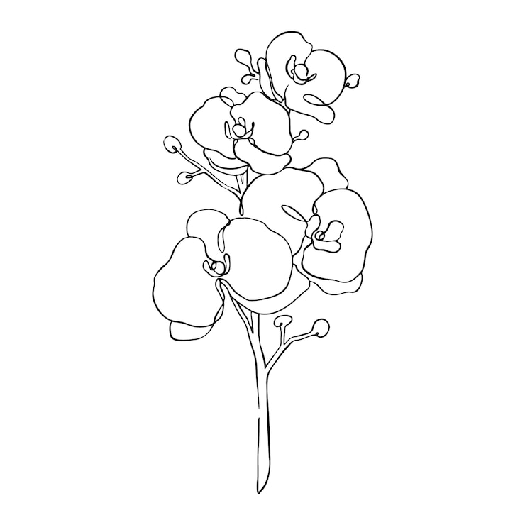 Vettore gratuito illustrazione semplice del contorno di un fiore disegnata a mano