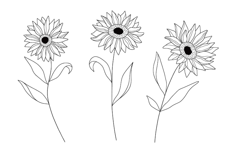 Vettore gratuito illustrazione semplice del contorno di un fiore disegnata a mano
