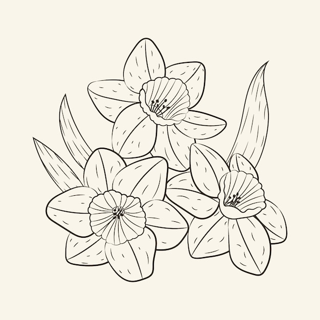 Illustrazione semplice del contorno di un fiore disegnata a mano