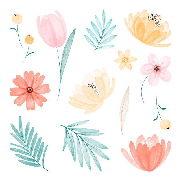 Illustrazione stabilita del fiore dell'acquerello