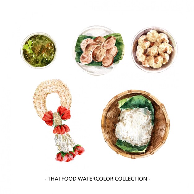Illustrazione tailandese dell'alimento dell'acquerello isolata progettazione creativa.