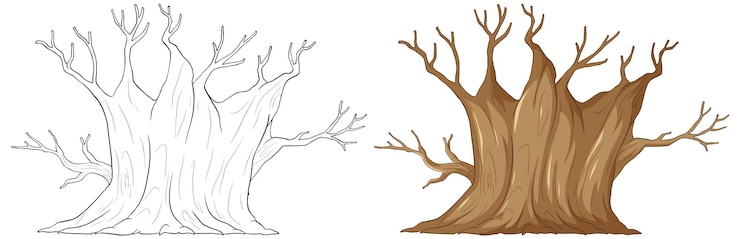Vettore gratuito illustrazione vettoriale dell'albero nudo in due stili