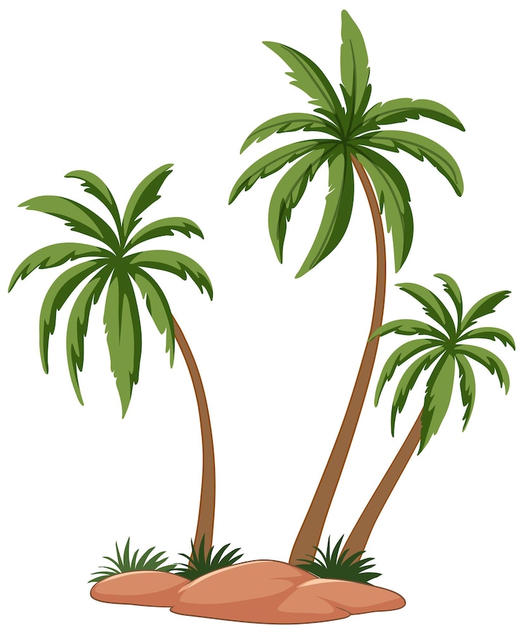 Vettore gratuito illustrazione vettoriale delle palme tropicali