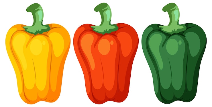 Vettore gratuito illustrazione vettoriale di peperoncini colorati