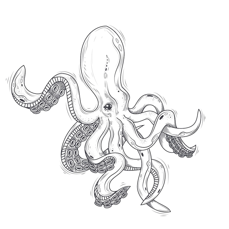 Vettore gratuito illustrazione vettoriale di un polpo dipinto in uno stile di incisione isolato su bianco.