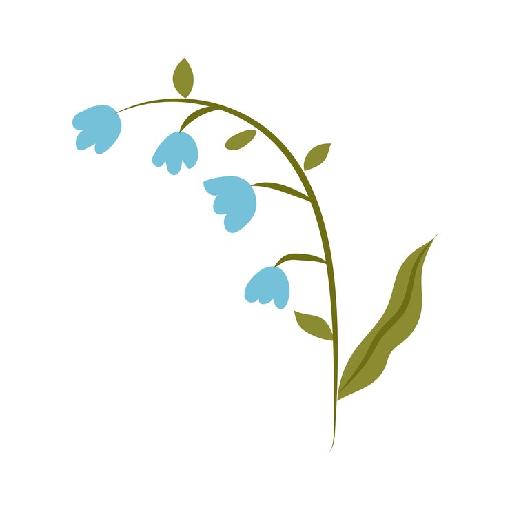 Vettore gratuito illustrazione vettoriale lily of the valley