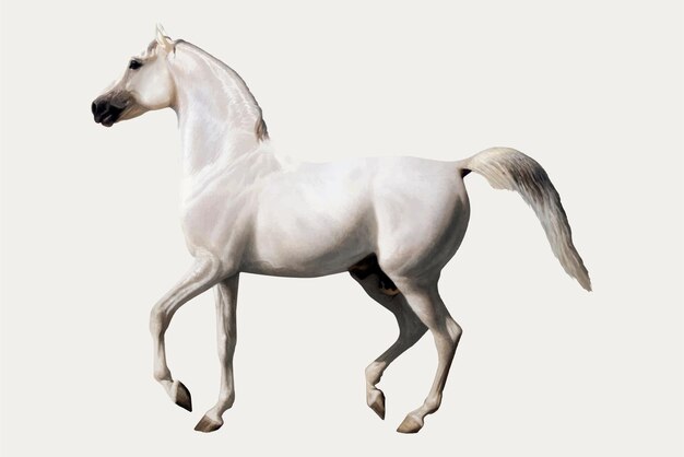Illustrazione vintage di cavalli, remixata da opere di Jacques-Laurent Agasse