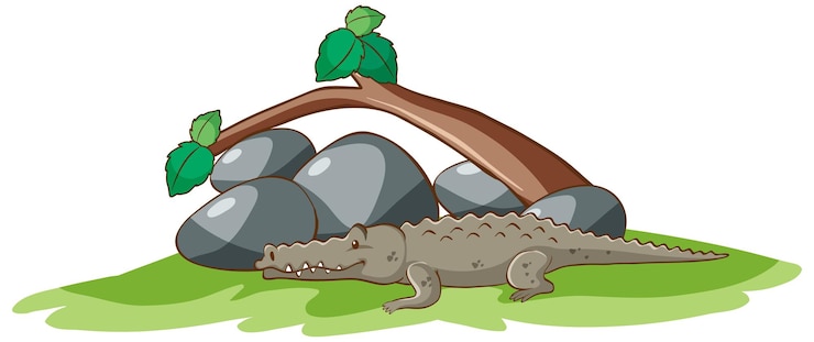 Vettore gratuito immagine isolata del coccodrillo nel parco
