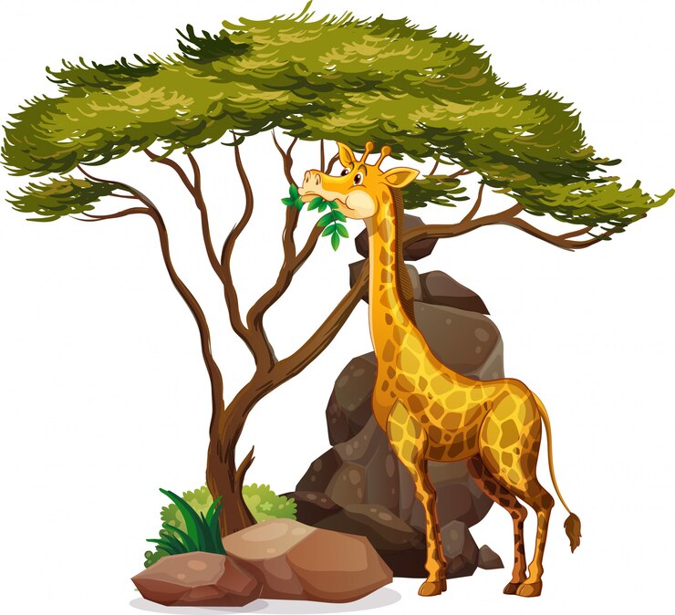 Vettore gratuito immagine isolata della giraffa che mangia le foglie