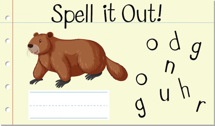 Vettore gratuito incantesimo parola inglese marmotta