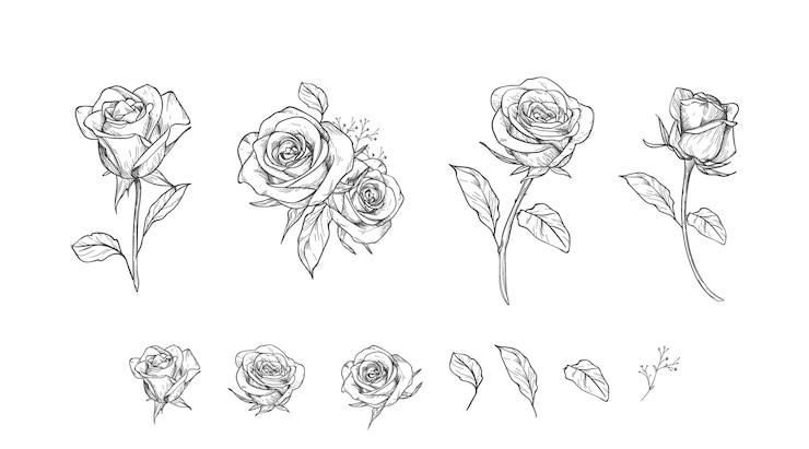Vettore gratuito incisione collezione di fiori disegnati a mano