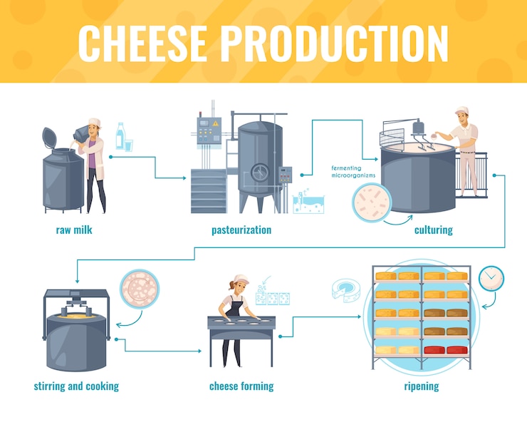 Vettore gratuito infografica di produzione di formaggio