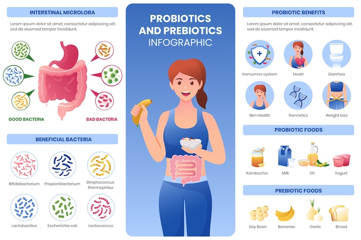 Vettore gratuito infografica gradiente di probiotici e prebiotici