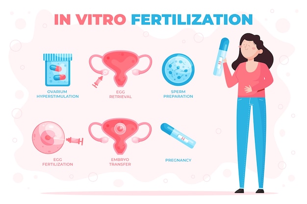 Infografica ivf design piatto disegnata a mano