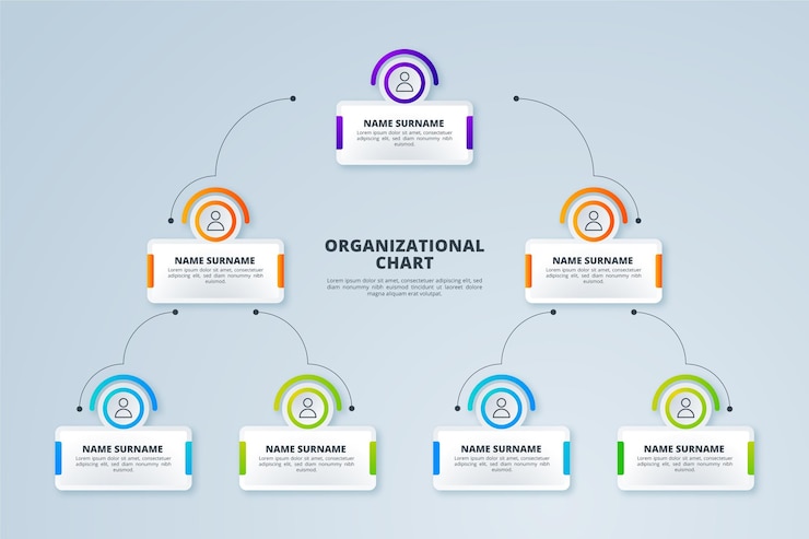 Vettore gratuito infografica sull'organigramma a gradiente