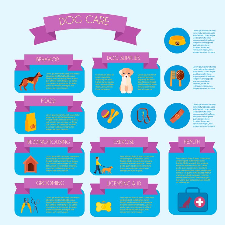 Vettore gratuito insegna infographic di cura del cane con informazioni di addestramento di comportamento e di sanità